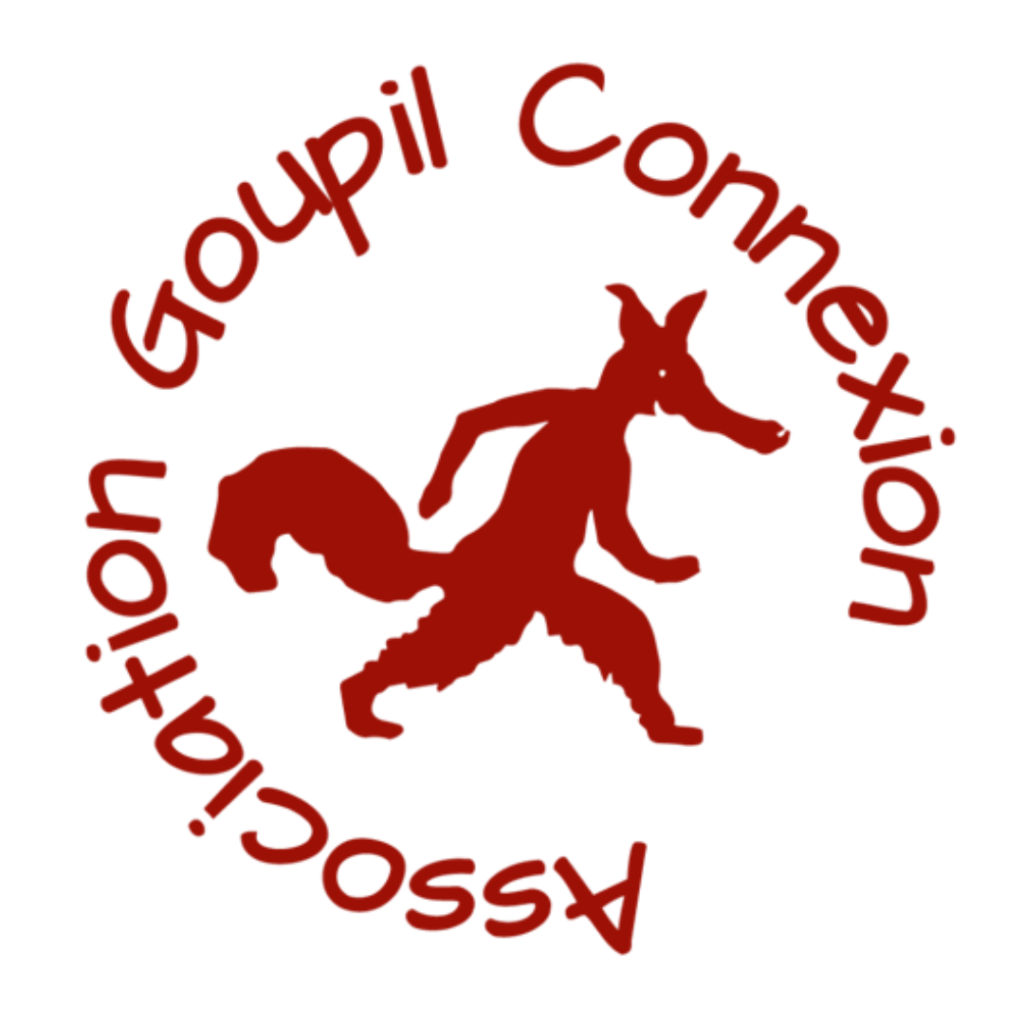 Logo Goupil Connexion